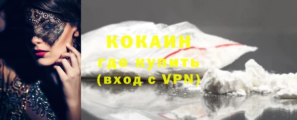 соль ск Михайлов