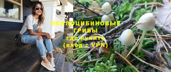 ALPHA PVP Михайловск