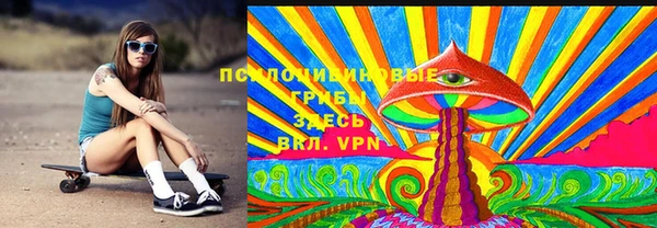 соль ск Михайлов