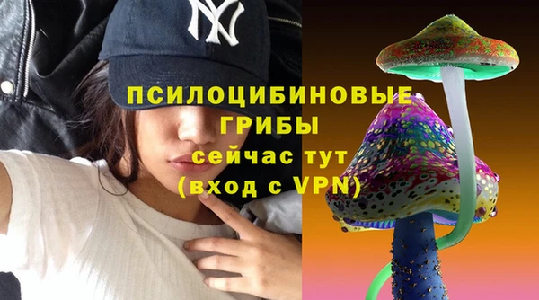 ALPHA PVP Михайловск
