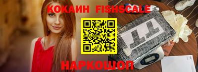 крисы Гай