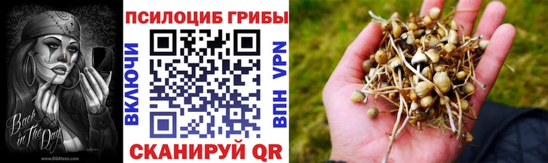 Псилоцибиновые грибы MAGIC MUSHROOMS  Черногорск 