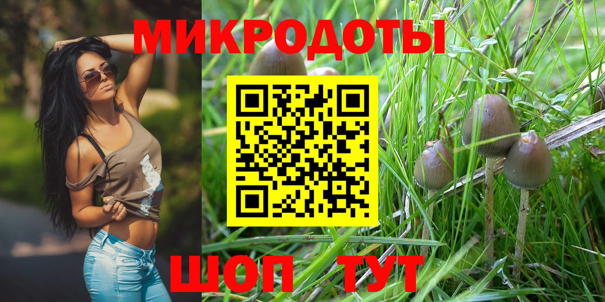 Псилоцибиновые грибы мицелий Черногорск